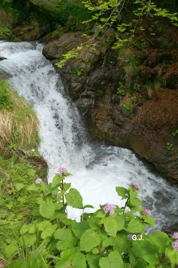 Ruisseau de Bat Barrada.