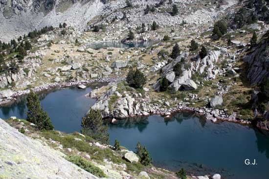 Laquets sans nom prs du lac de Grziolles.